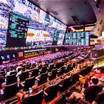 maximum sports bet allowed vegas